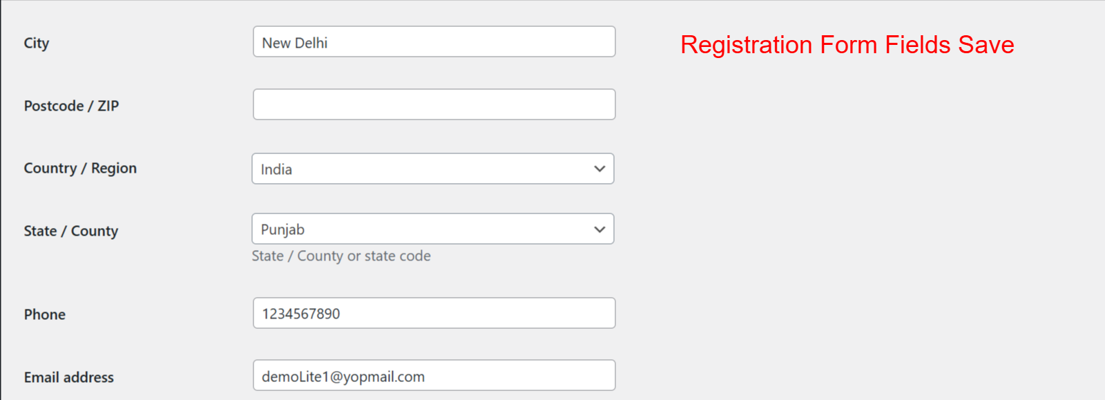 Registration Field Suite For Woocommerce & WordPress Lite - Image 20